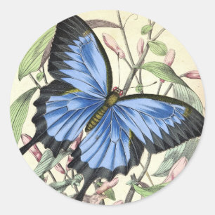 Butterfly Classic Round Sticker
