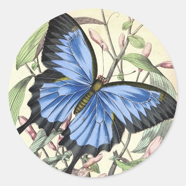 Butterfly Classic Round Sticker (Front)