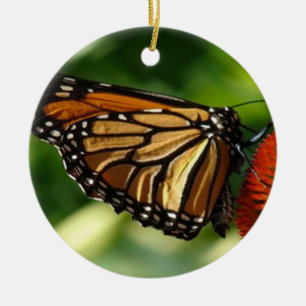 Butterfly close up ceramic tree decoration