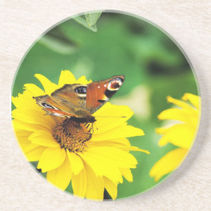 Butterfly - Coaster
