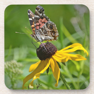 Butterfly Coaster