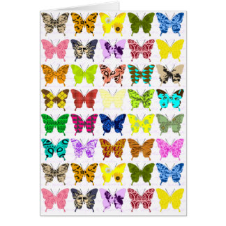 Butterfly Collage