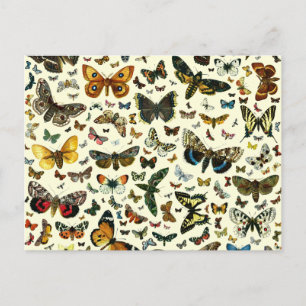 Butterfly Collage Postcard