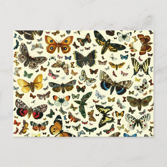 Butterfly Collage Postcard (Front)