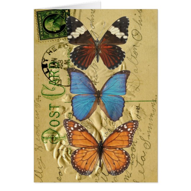 Butterfly collection (Front)