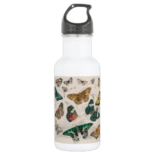 Butterfly Collection Antique Butterflies 532 Ml Water Bottle