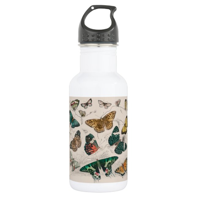 Butterfly Collection Antique Butterflies 532 Ml Water Bottle (Front)