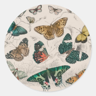 Butterfly Collection Antique Butterflies Classic Round Sticker