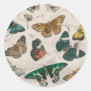 Butterfly Collection Antique Butterflies Classic Round Sticker