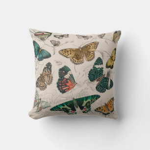 Butterfly Collection Antique Butterflies Cushion