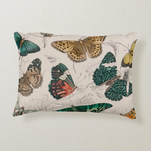 Butterfly Collection Antique Butterflies Decorative Cushion (Back)