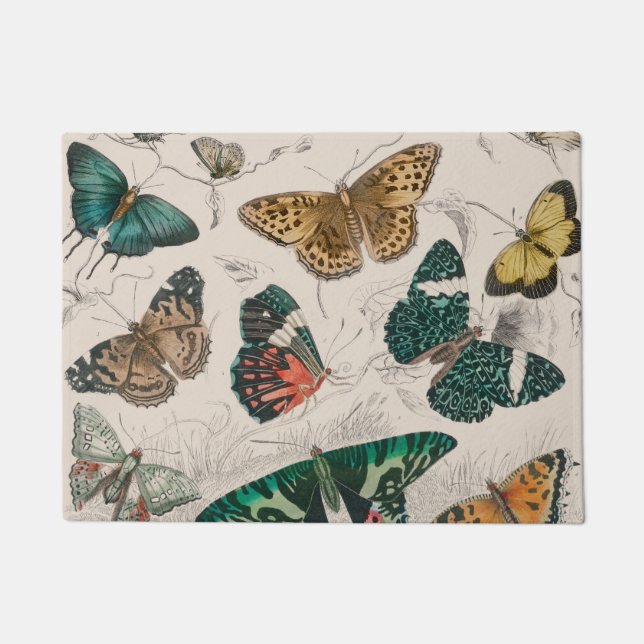 Butterfly Collection Antique Butterflies Doormat (Front)