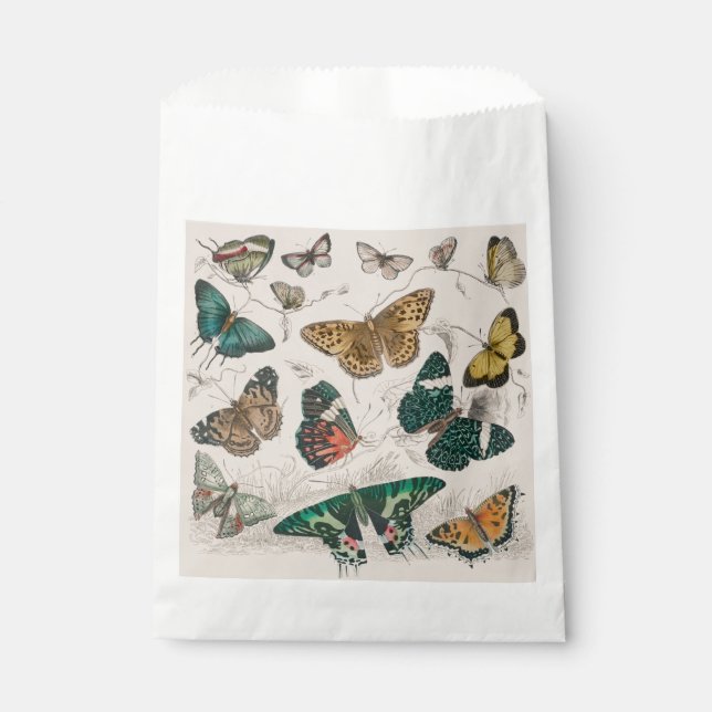 Butterfly Collection Antique Butterflies Favour Bags (Front)