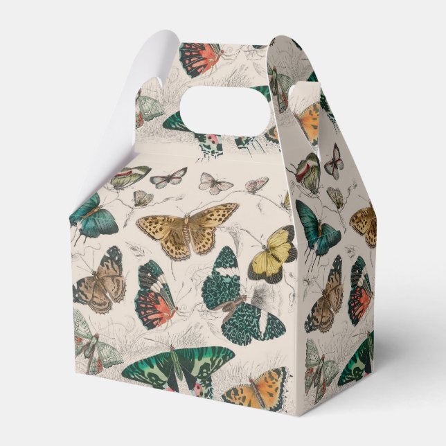 Butterfly Collection Antique Butterflies Favour Box (Front Side)