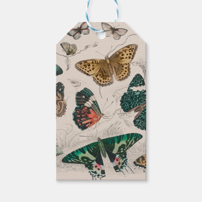 Butterfly Collection Antique Butterflies Gift Tags (Front)