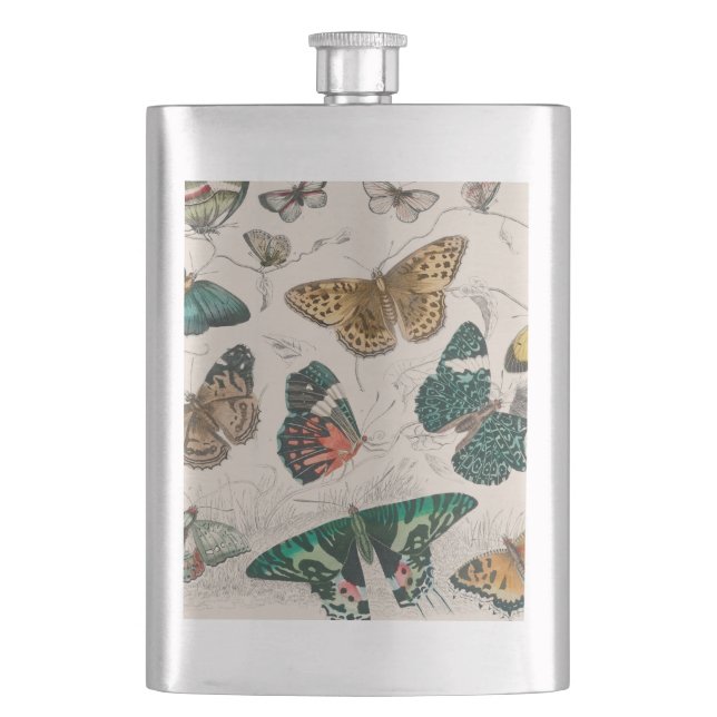 Butterfly Collection Antique Butterflies Hip Flask (Front)
