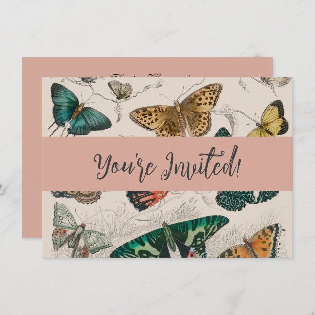 Butterfly Collection Antique Butterflies Invitation (Front/Back)