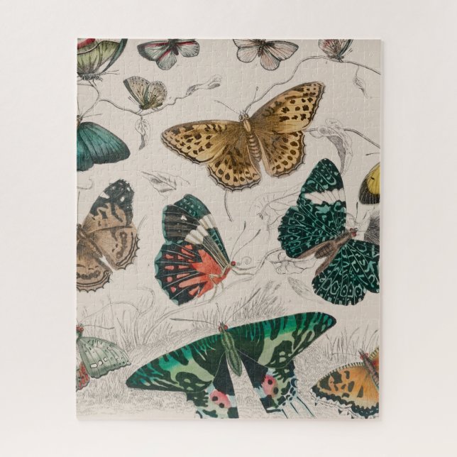 Butterfly Collection Antique Butterflies Jigsaw Puzzle (Vertical)