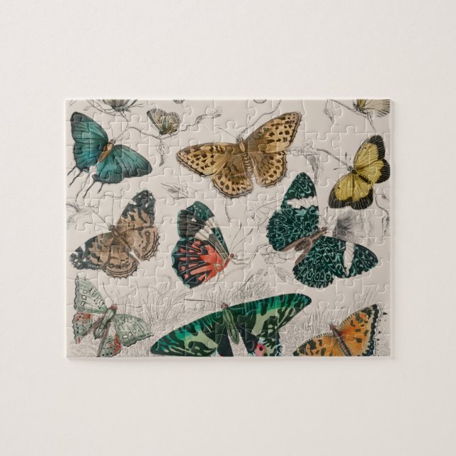 Butterfly Collection Antique Butterflies Jigsaw Puzzle (Horizontal)