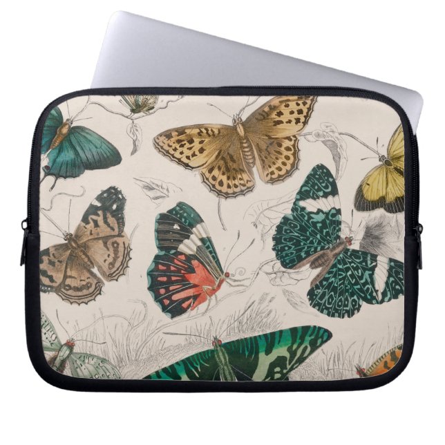 Butterfly Collection Antique Butterflies Laptop Sleeve (Front)