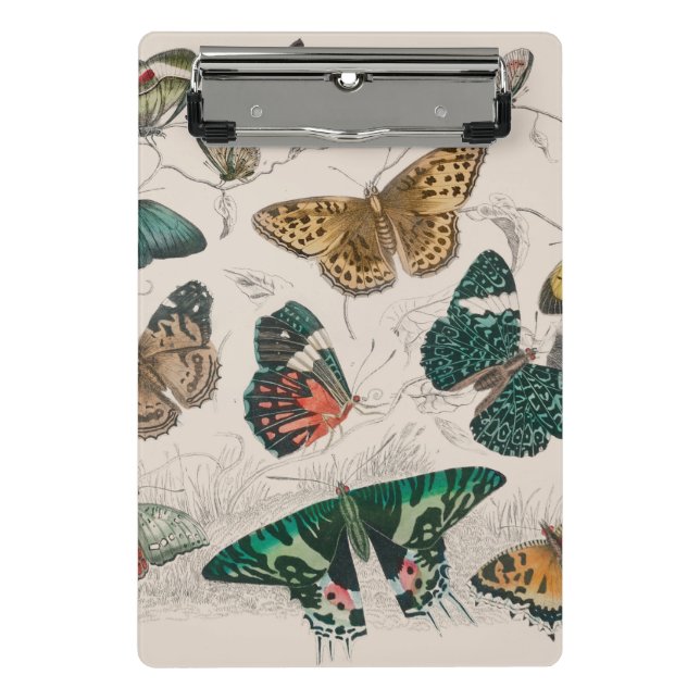Butterfly Collection Antique Butterflies Mini Clipboard (Front)