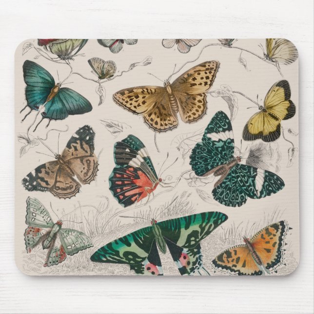 Butterfly Collection Antique Butterflies Mouse Mat (Front)