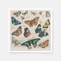 Butterfly Collection Antique Butterflies