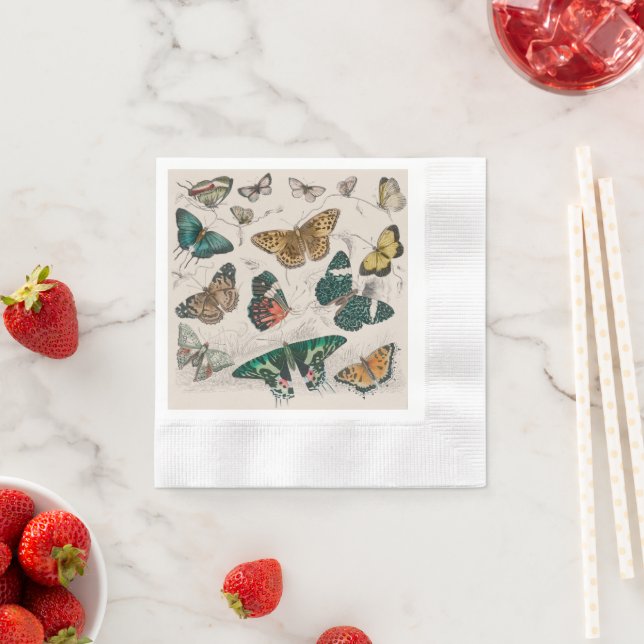 Butterfly Collection Antique Butterflies Napkin (Insitu)