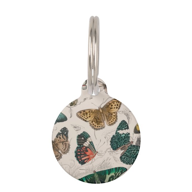 Butterfly Collection Antique Butterflies Pet Tag (Front)