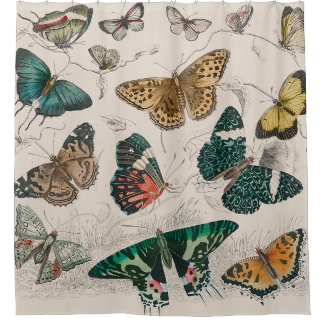 Butterfly Collection Antique Butterflies Shower Curtain (Front)