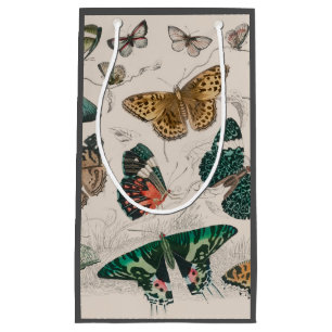 Butterfly Collection Antique Butterflies Small Gift Bag