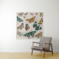 Butterfly Collection Antique Butterflies