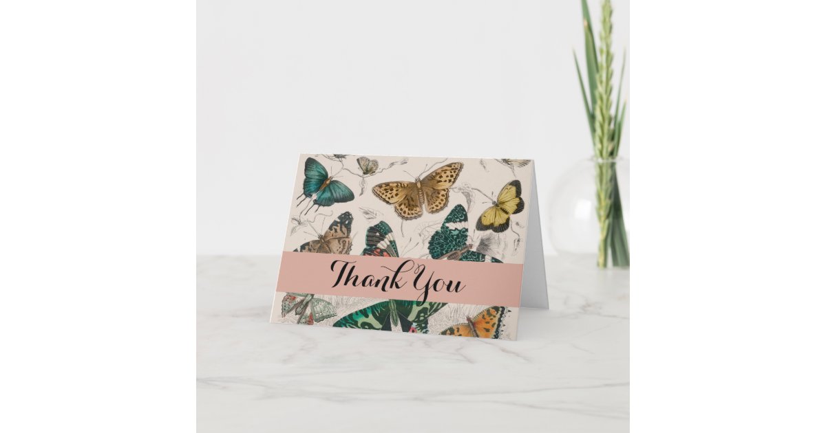 Butterfly Collection Antique Butterflies Thank You Card | Zazzle