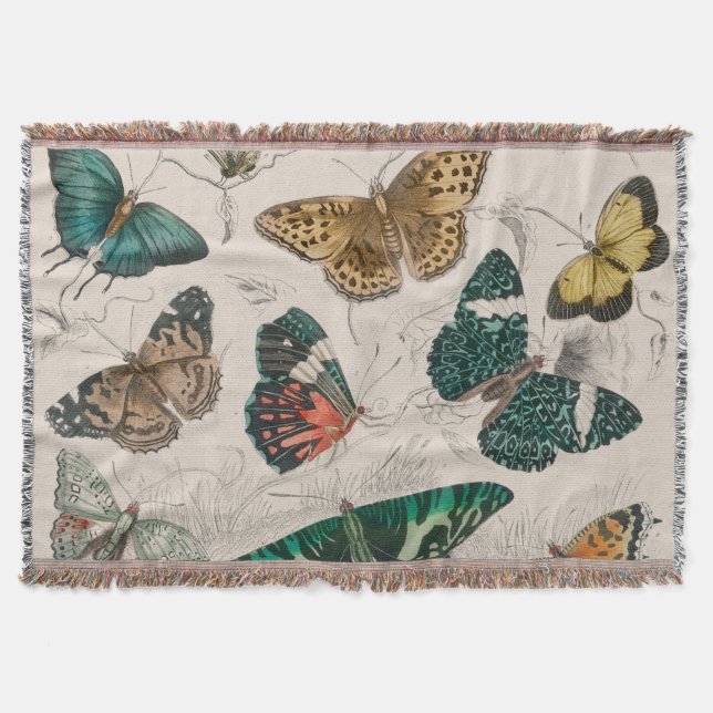 Butterfly Collection Antique Butterflies Throw Blanket (Front)