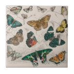 Butterfly Collection Antique Butterflies Tile<br><div class="desc">A collection of butterflies! This is an antique watercolor painting found in the book A History of the Earth and Animated Nature (1820) by Oliver Goldsmith (1730-1774)</div>