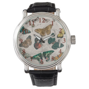 Butterfly Collection Antique Butterflies Watch