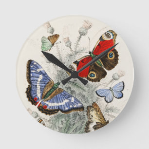 Butterfly Collection Antique Colourful Butterflies Round Clock