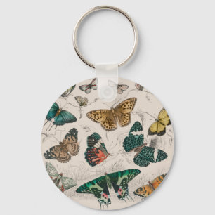 butterfly collection antique watercolor art butter key ring