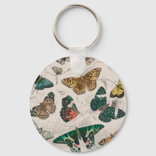 butterfly collection antique watercolor art butter key ring