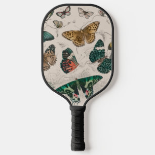 butterfly collection antique watercolor art butter pickleball paddle