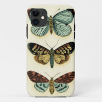 Butterfly Collection by Chariklia Zarris