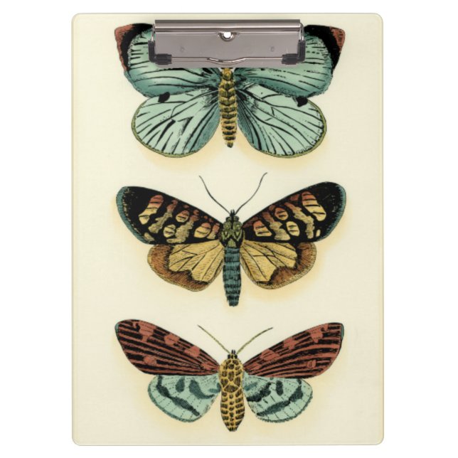 Butterfly Collection by Chariklia Zarris Clipboard (Front)