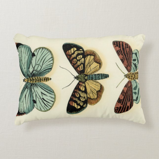 Butterfly Collection by Chariklia Zarris Decorative Cushion (Front)