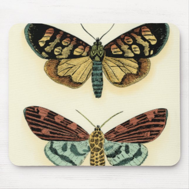 Butterfly Collection by Chariklia Zarris Mouse Mat (Front)