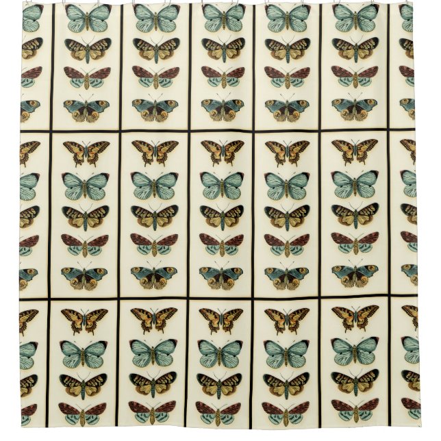 Butterfly Collection by Chariklia Zarris Shower Curtain (Front)