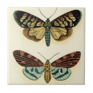 Butterfly Collection by Chariklia Zarris Tile