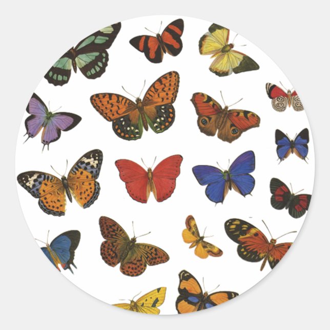 Butterfly Collection Classic Round Sticker (Front)