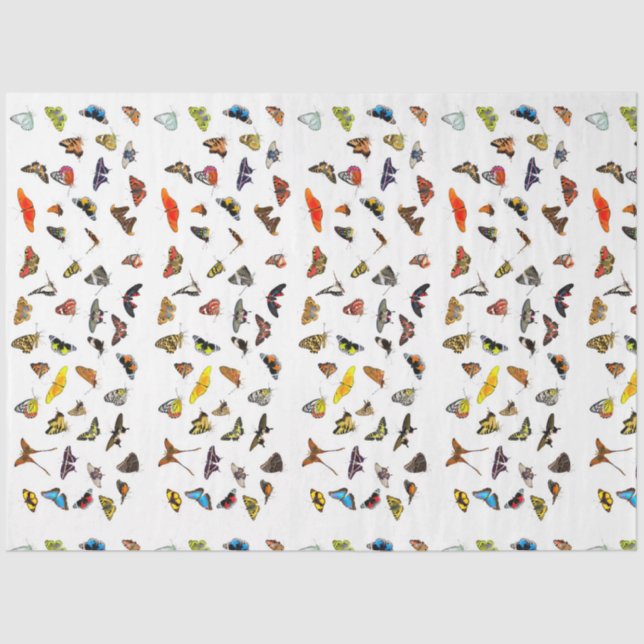 Butterfly Collection Decoupage Tissue Paper (Front)