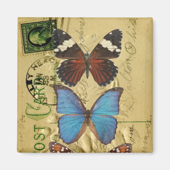 Butterfly collection magnet (Front)