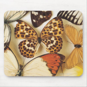 Butterfly collection mouse mat